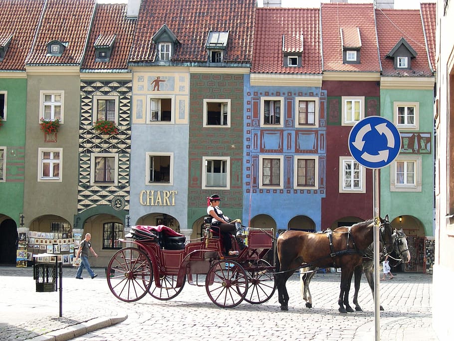 person, riding, horse carriage, buildigns, poznan, market, poland, building exterior, architecture, built structure