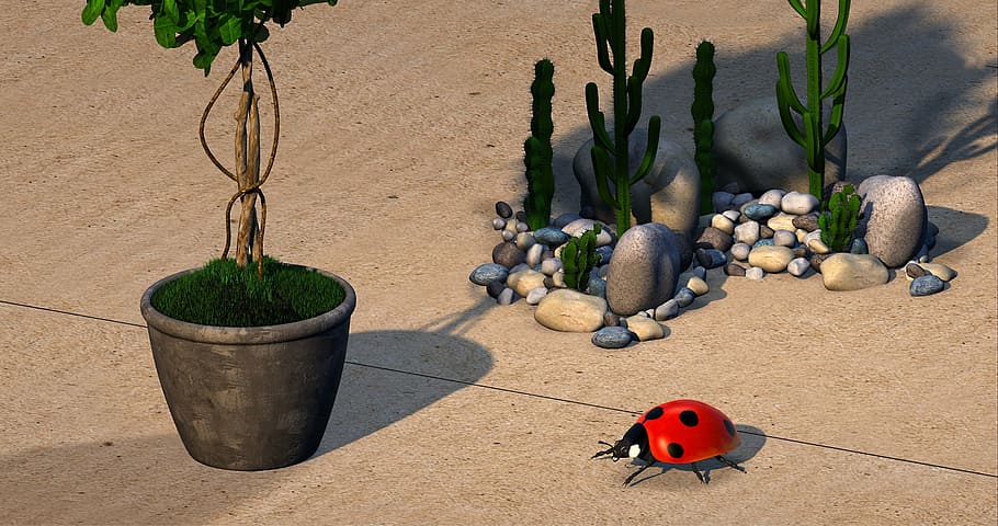 mariquita de juguete, verde, plantas de cactus, escarabajo, cactus, jardín, piedras, mosaico, 3d, mariquita