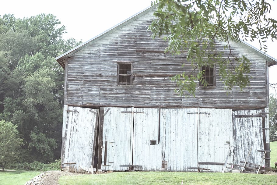 gray, white, wooden, house, trees, photography, storey, wood, barn, rural