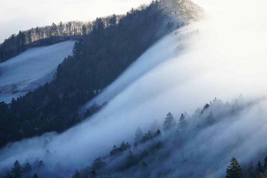 Primer plano, foto, montaña, niebla, nebellandschaft, ola de niebla, belchenflue, challhöchi, mar de niebla, jura