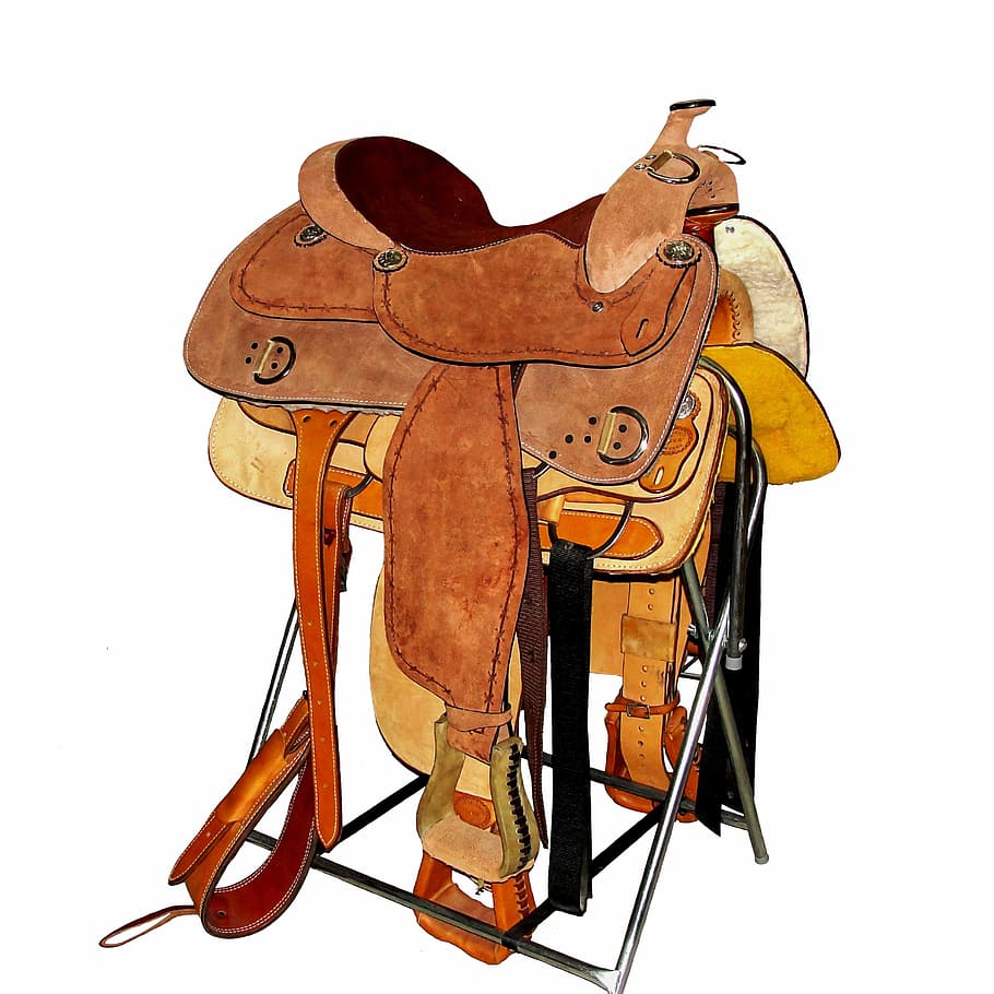 Saddle, Horse, Stirrup, Mount, Equine, saddle, horse, equestrian, leather, cowboy, keep buckles
