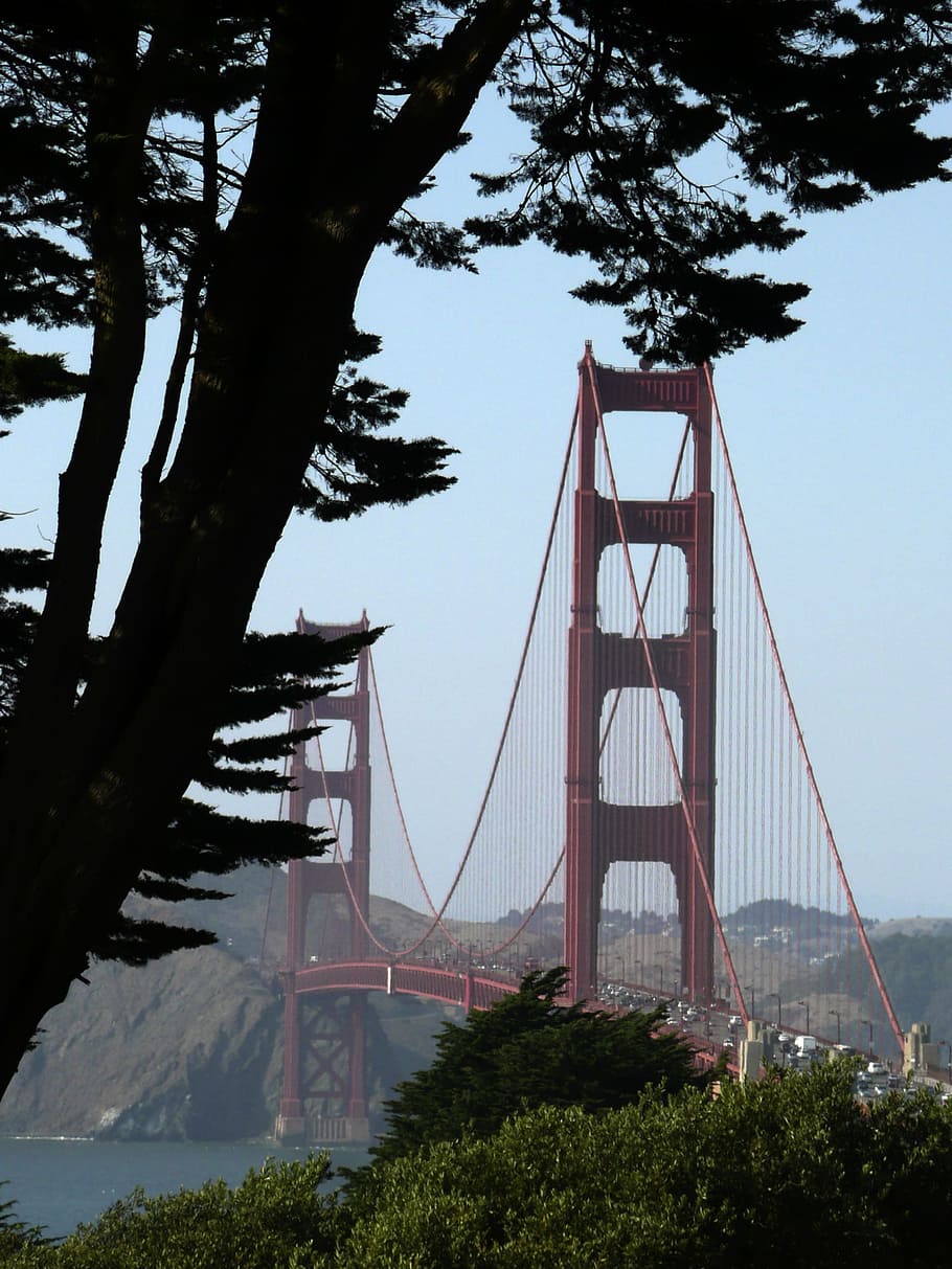 golden, gate bridge, Golden Gate Bridge, San Francisco, california, places of interest, building, city, construction, steel construction