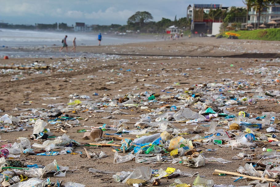 garbage, environment, beach, pollution, waste, waste disposal, plastic, plastic waste, land, incidental people