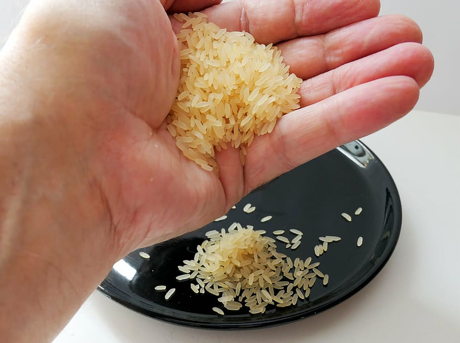 handful of rice, rice, rice bowl, asia, food, rice plate, eat, shell, rice dish, human hand