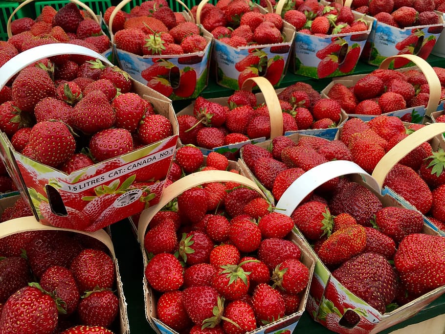 Strawberries, Fruit, Fresh, Local, red, organic, market, seasonal, food, strawberry