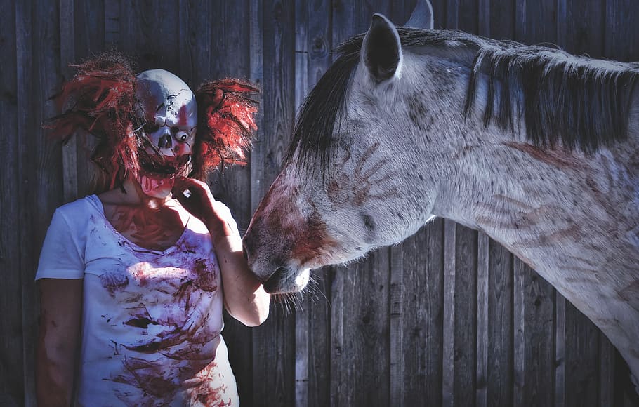 halloween, bloody, horror clown, creepy, horse, pony, mold, in blood, halloween shooting, real people