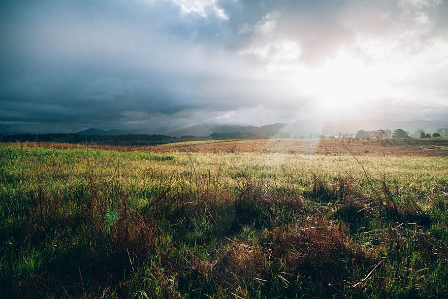 grass, field, rural, countryside, landscape, nature, sunbeams, sun rays, clouds, cloudy