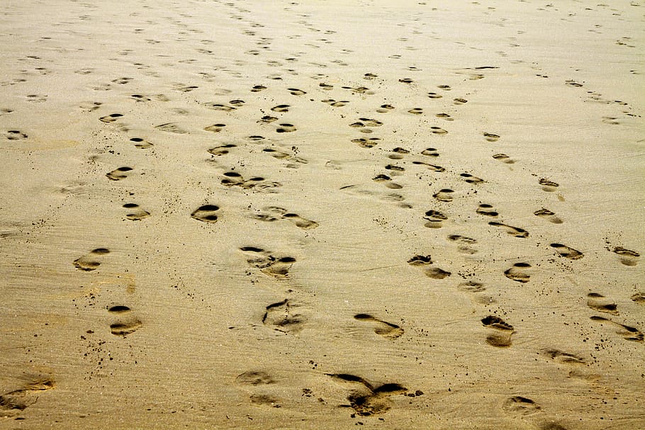 people, footprints, sand, footprint, beach, nature, foot, sea, outdoor, ocean