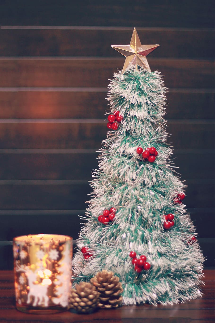 selectivo, fotografía de enfoque, plata, rojo, decorativo, árbol de Navidad, estrella, dos, pinos, enfoque selectivo