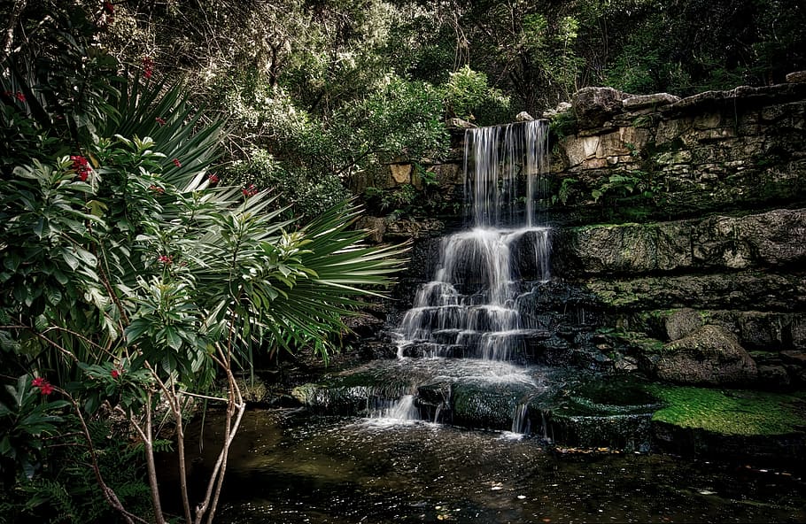 Kebun Raya Zilker, Air Terjun, Austin, air terjun di antara hutan, tanaman, air, pohon, gerakan, air yang mengalir, paparan panjang