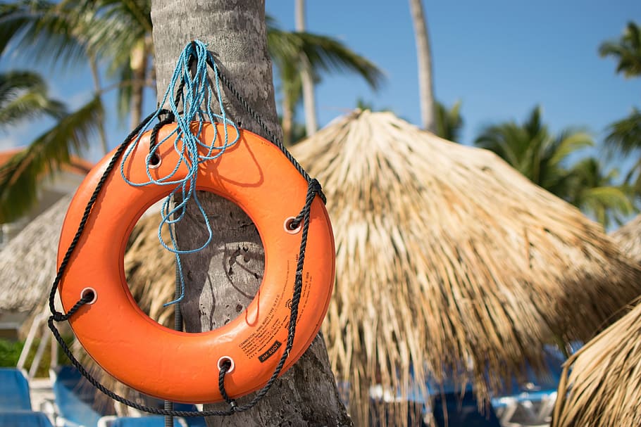 lifebelt, lifeguard, swim, holiday, palm trees, life-saving, orange, help, save, rescue
