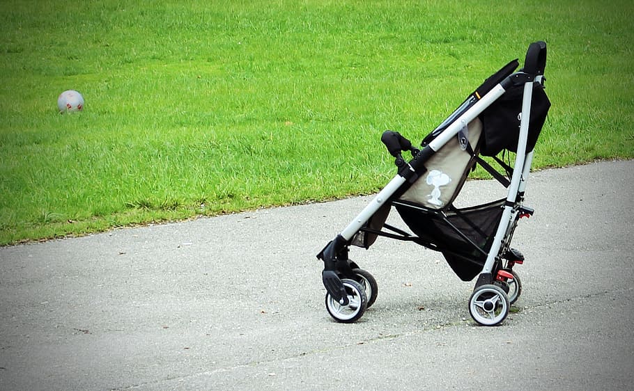 baby, black, stroller, grasses, baby carriage, buggy, sun buggy, alone, vehicle, child