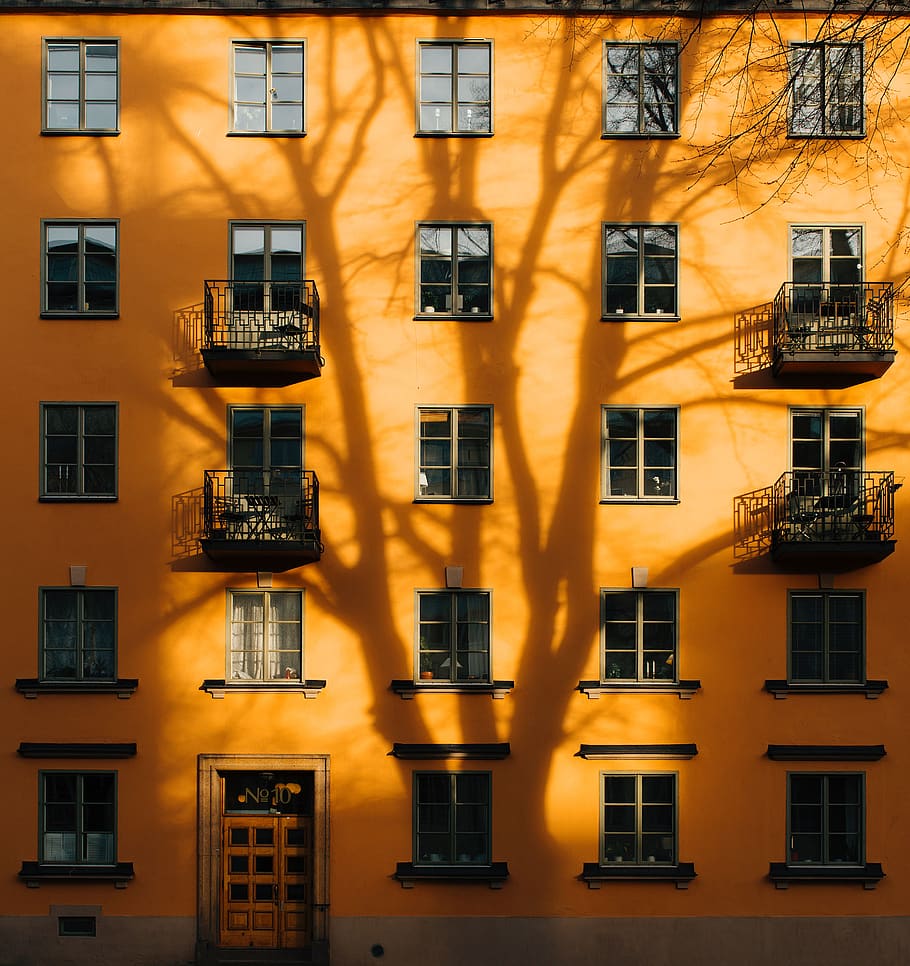 architecture, building, infrastructure, design, facade, sunny, tree, shadow, building exterior, built structure