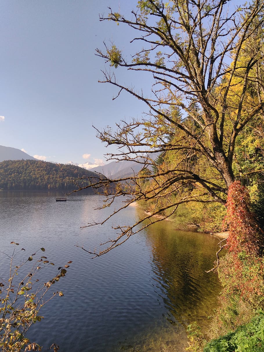 Styria, Altaussee, lago, banco, água, outono, em, bela, paisagem, Quieto