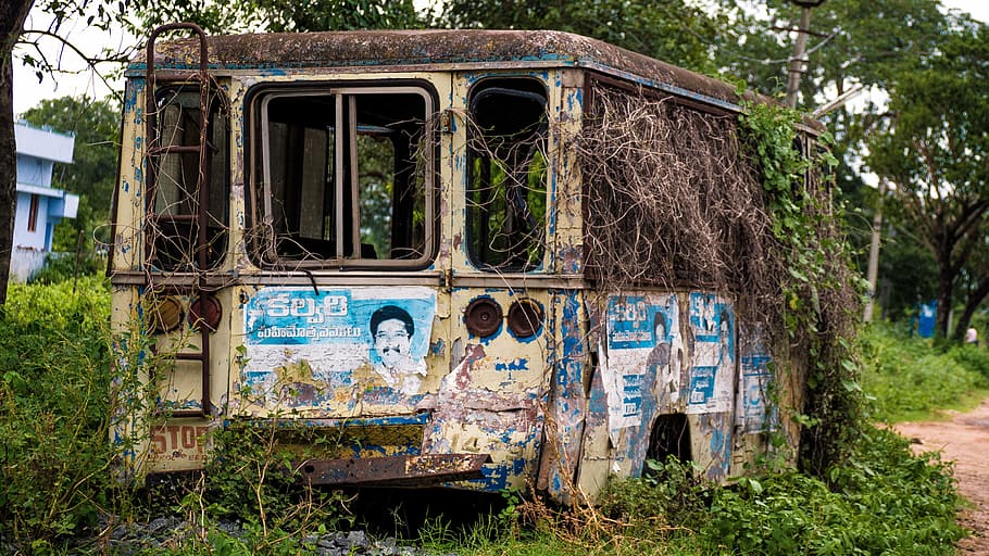 classic, white, vehicle, tree, photography, beige, abandoned, bus, daytime, old