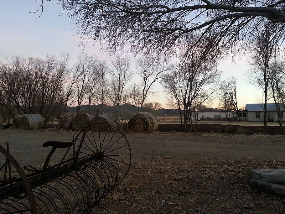 Prescott, Arizona, Ranch, Farm, prescott, arizona, equipment, trees, bales, hay, reaping machine