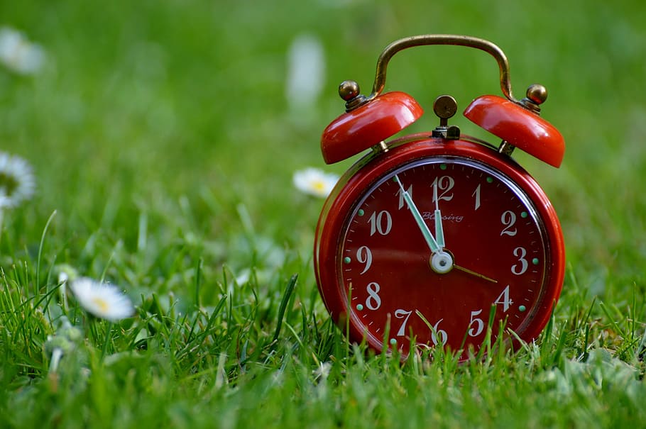 selective, focus photo, red, bell alarm clock, green, grass field, the eleventh hour, disaster, alarm clock, clock