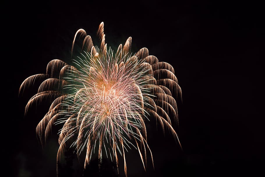 fireworks display, fireworks, rocket, night, lights, sylvester, explosion, shower of sparks, new year's day, color