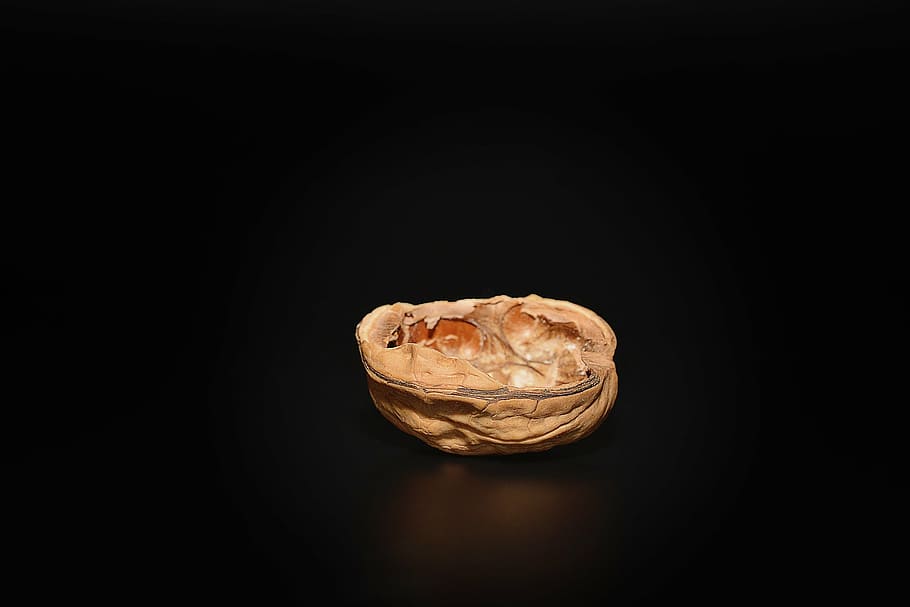 walnut, half walnut, cut in half, empty, close, studio shot, black background, copy space, single object, indoors