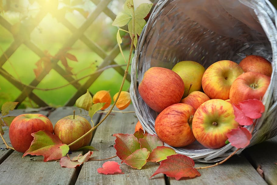 basket of apples, apple, autumn, leaf, basket, still life, nature, harvest, fruit, food and drink