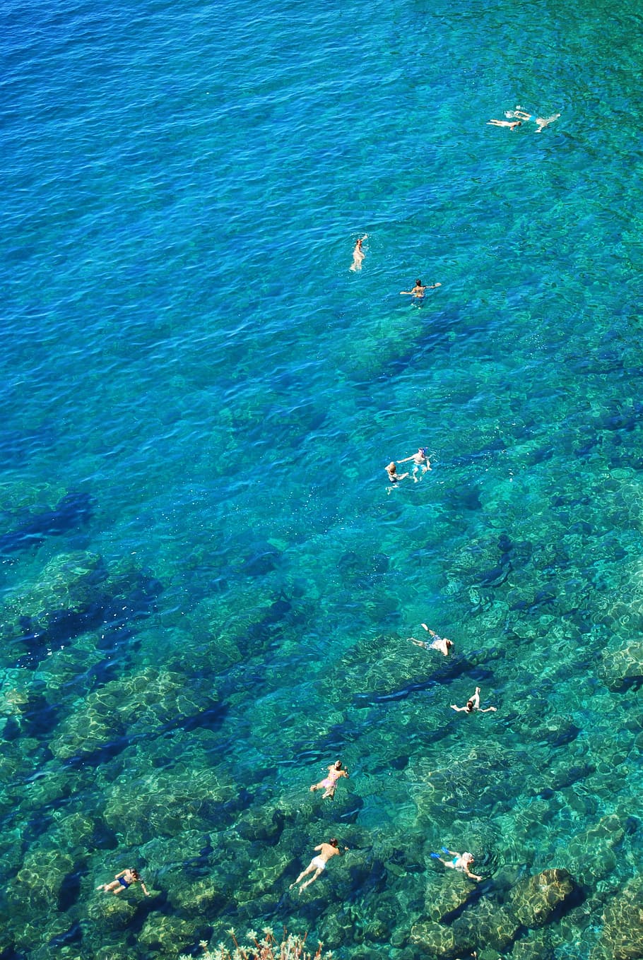 bañistas, agua, transparente, claro, verano, vacaciones, caliente, mar, transparencia, natación