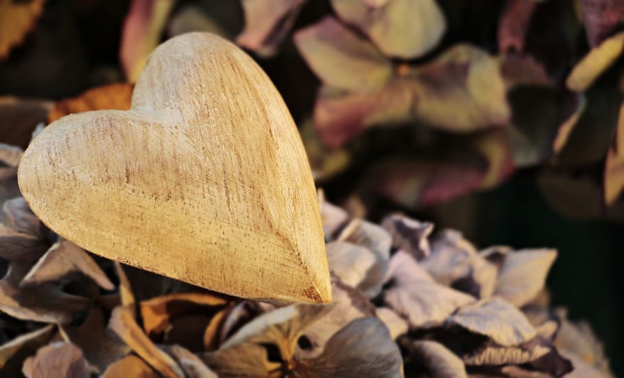 tilt-shift lens photography, heart-shaped, brown, leaf, heart, wooden heart, wood, love, nature, symbol