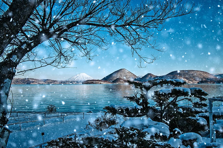 Nature Waters Snow Landscape Tree Winter Tourism The Scenic Outdoor Season Pxfuel