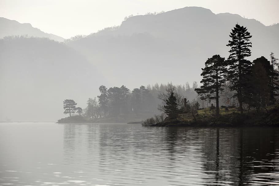 foggy, trees, lake, river, nature, landscape, lake district, derwent water, forest, water
