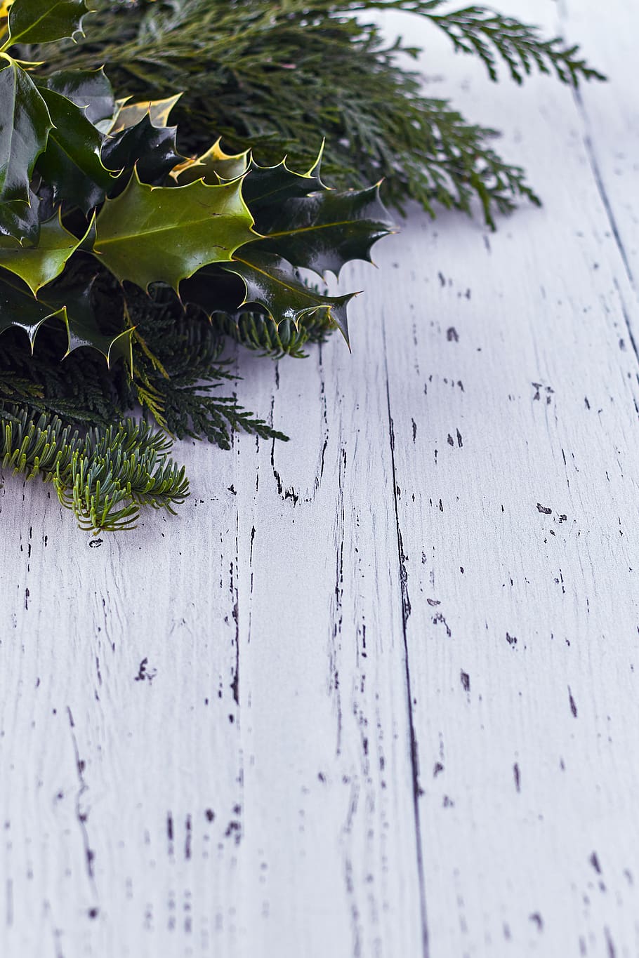 holly, seasonal, background, christmas, winter, rustic, wood, green, branch, decorative