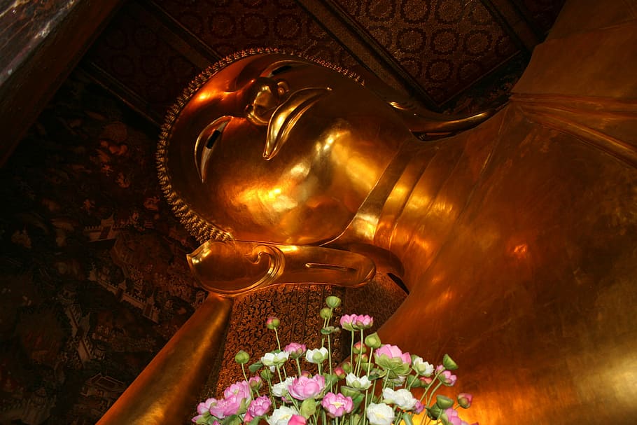 buddha, lying buddha, reclining buddha, bangkok, flower, flowering plant, religion, spirituality, gold colored, belief