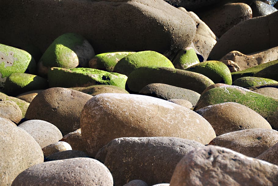 riesen, stones, rock, pebble, surf, sea, bank, natural stones, round, vacations