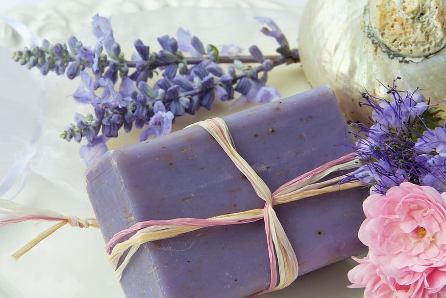 purple, soap bar, flowers, soap, lavender, rose, shell, violet, nature, lavender flowers