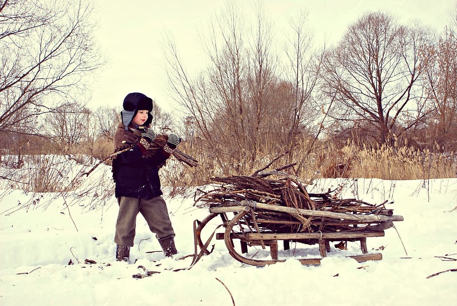 anak laki-laki pilling kayu bakar, coklat, kayu, salju, musim dingin, perang, masa sulit, sani, desa, kayu bakar