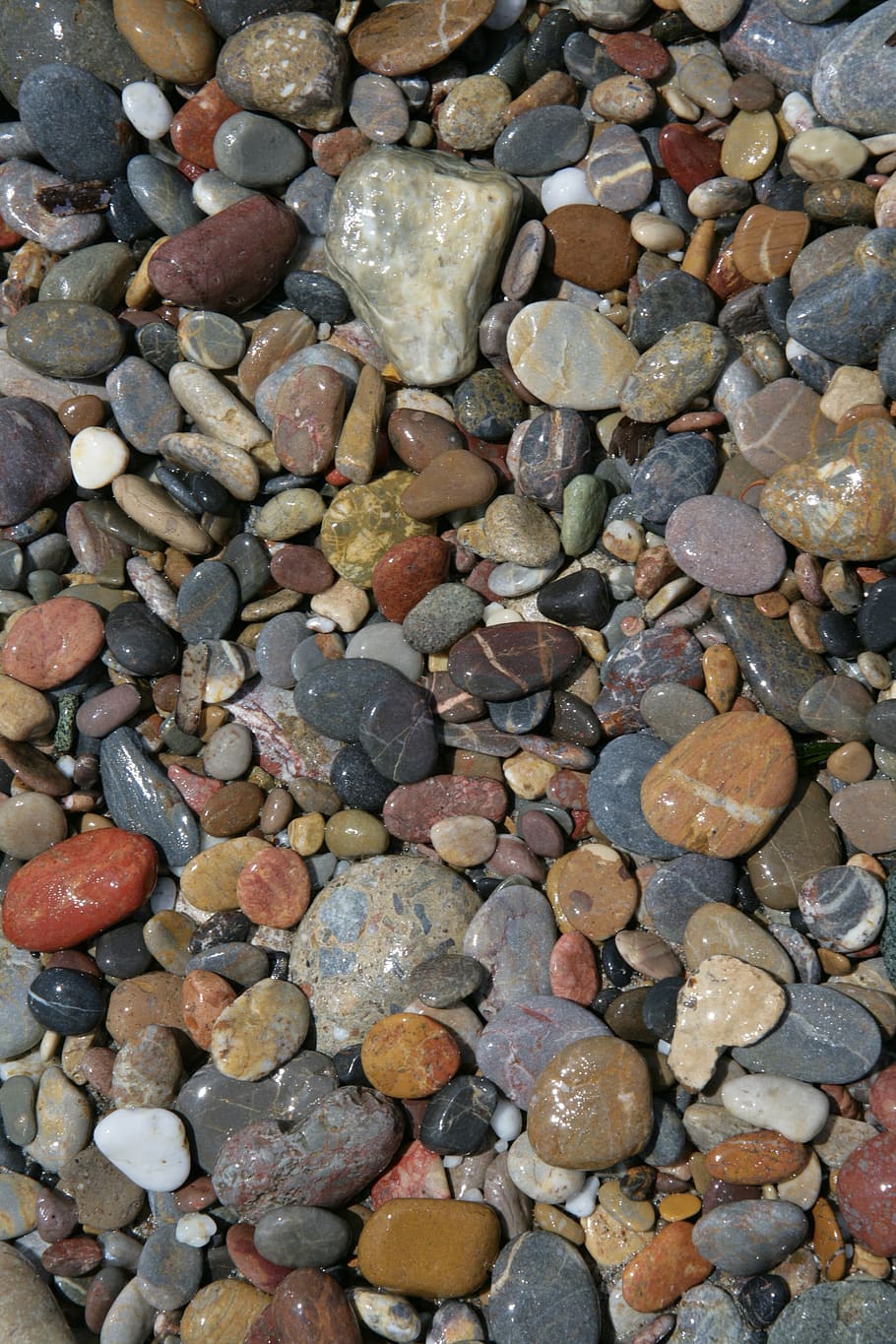 stones, pebble, beach, background, pattern, brown, black, pebbles, sand, mussels