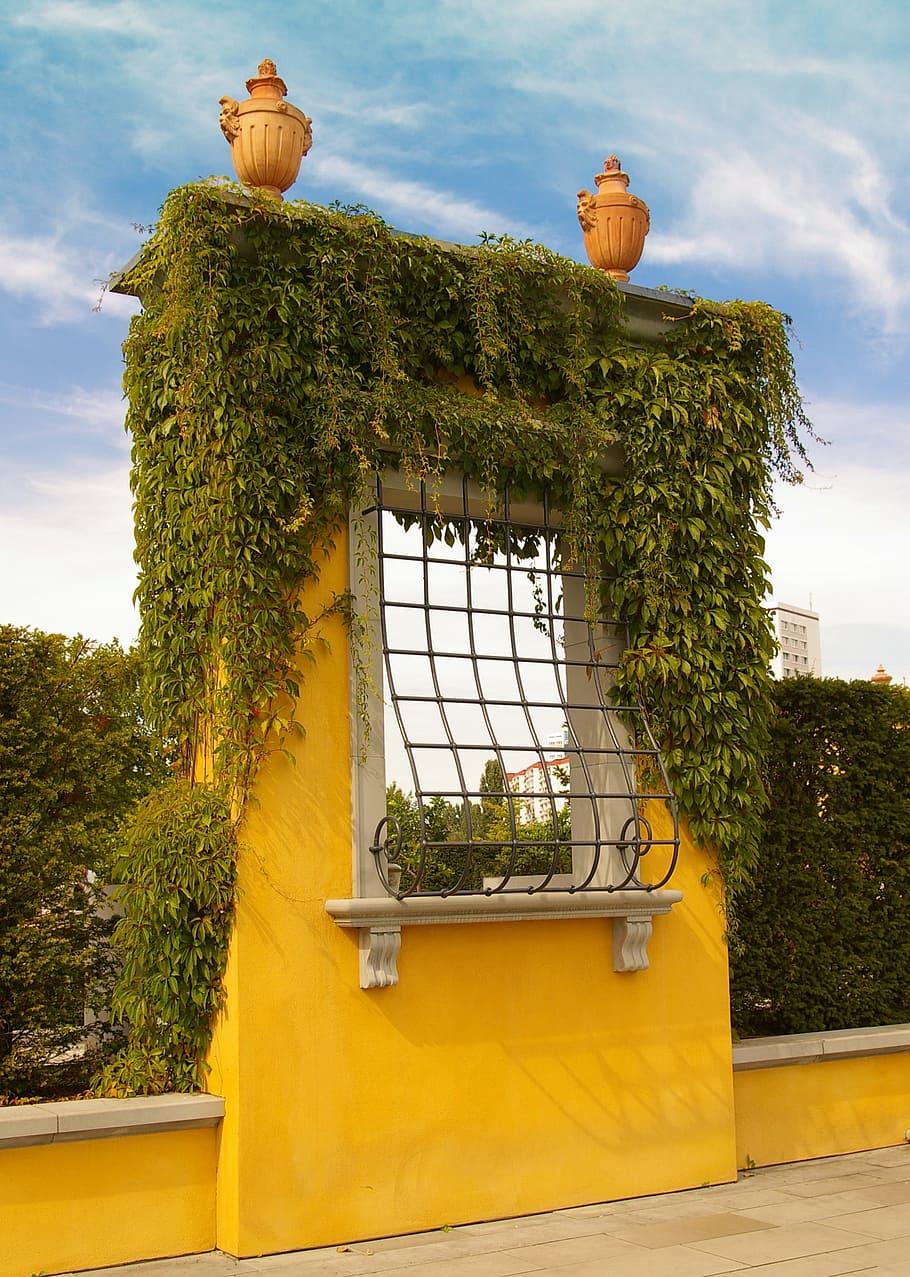 grate, architecture, window, grid, window grilles, wrought iron, verschnörkelt, decorative, rounding, plant leaf