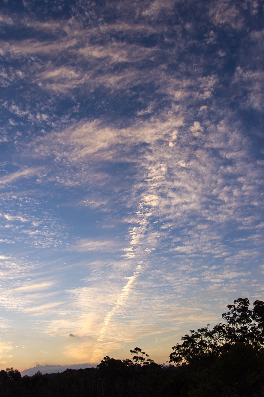 sunset, sky, clouds, pink, blue, pretty, australia, horizon, trees, silhouettes