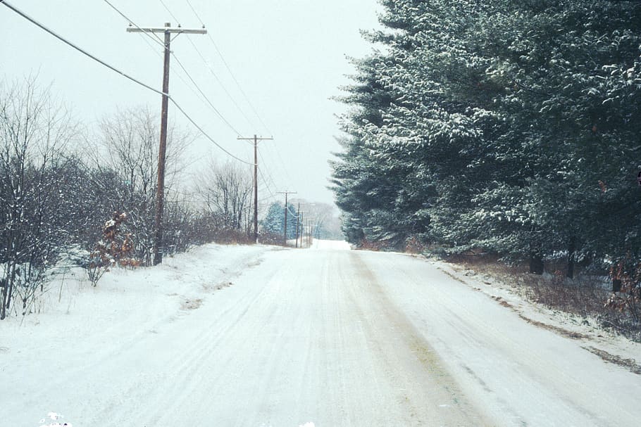 jalan, musim dingin, salju, pohon, dingin, mengemudi, pedesaan, alam, badai salju, pemandangan