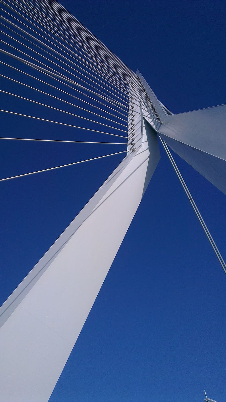 rotterdam, swan, erasmus bridge, air, sky, blue, low angle view, architecture, built structure, clear sky