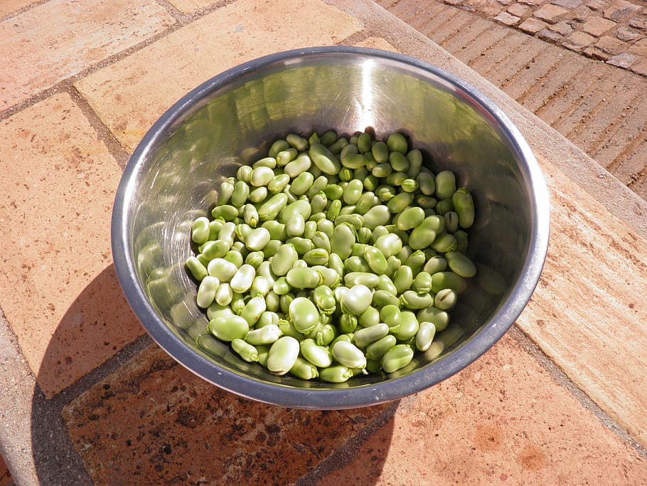 green, beans, stainless, steel bowl, broad beans, favas, vegetable, vegetarian, nutrition, legume