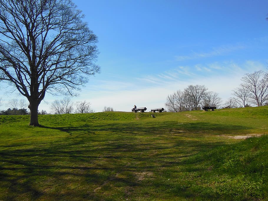 ramparts, view, gun, cannon position, top of the rampart, sunny weather, nyborg, funen, grass, trees