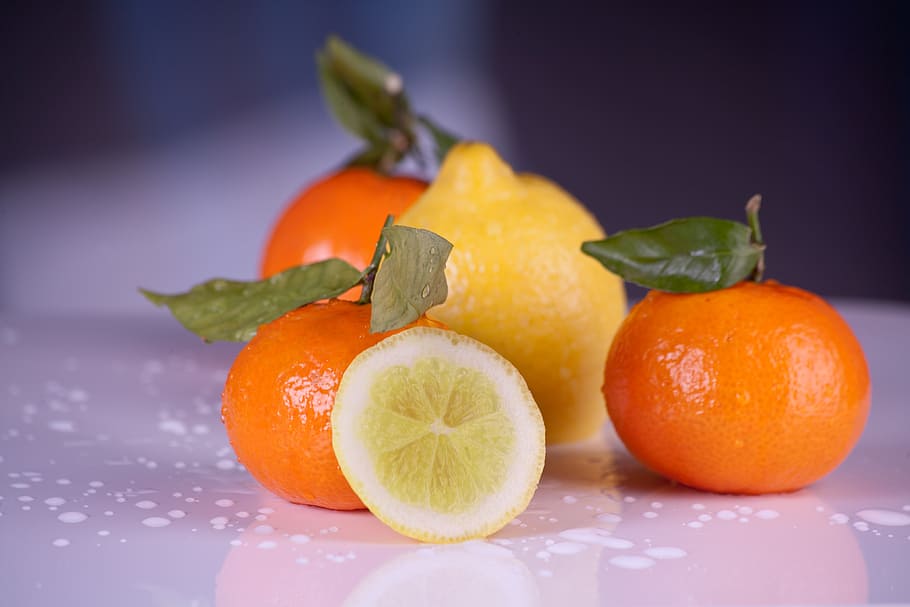 limão, três, laranjas, frutas, citrinos, clementina, vitamina c, fresco, saudável, nutrição
