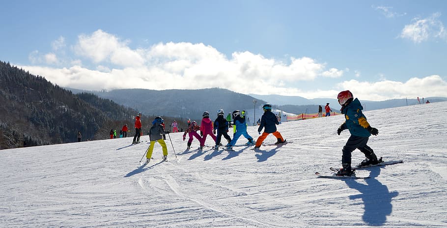 그룹, 사람들이 스키, 눈, 어린이, 스키 레슨, 운동 언덕, 검은 숲, 스키 달리기, 어린이 언덕, 초보자