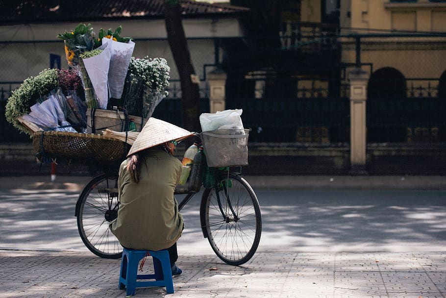 street, vendor, seller, people, woman, hat, sitting, flowers, bicycle, transportation
