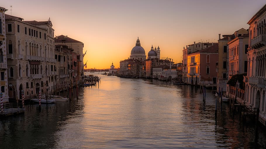 Canal Grande, Santa Maria della Salute, matahari terbit, Venesia, bangunan, langit, siang hari, bangunan eksterior, arsitektur, struktur yang dibangun