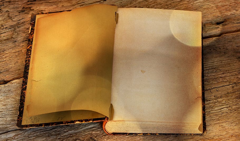 blank, book page, brown, surface, book, old, antique, old book, pages, empty pages