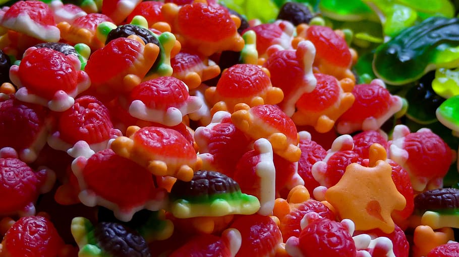 sugar, turtle, colorful, colo, animals, candy, jelly bean, gummy, food and drink, food