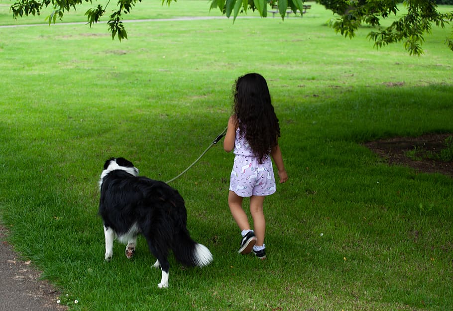 anak dengan anjing, anak, anjing berjalan, anak anjing berjalan, Manis, gadis, masa kecil, cinta, senang, kepercayaan