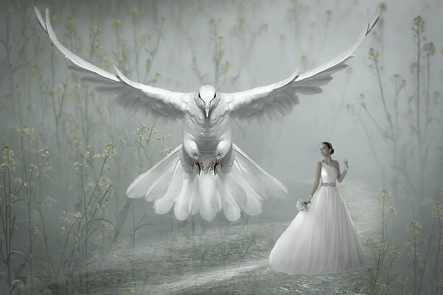 fantasy, bird, dove, white, woman, nature, fairy tales, landscape, dream, flying