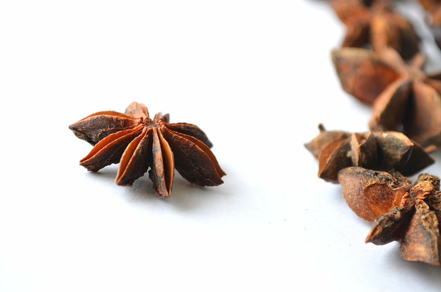chinese star anise, anise, illicium verum, star anise, brown, flavor, food, exotic, aniseed, ingredient