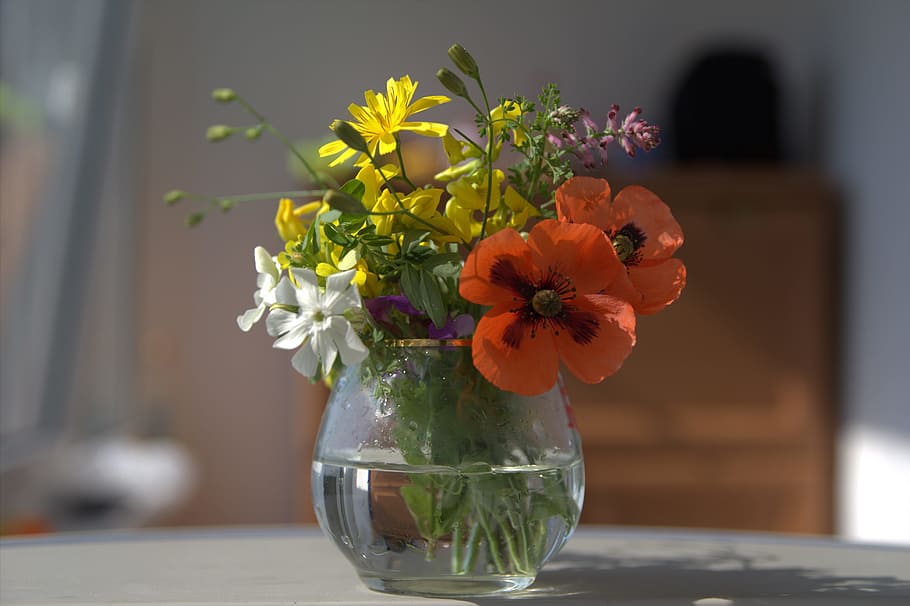 花瓶, 花, 3月8日, 自然, シート, 植物, 静物, マック, 野生植物, フィールドの花